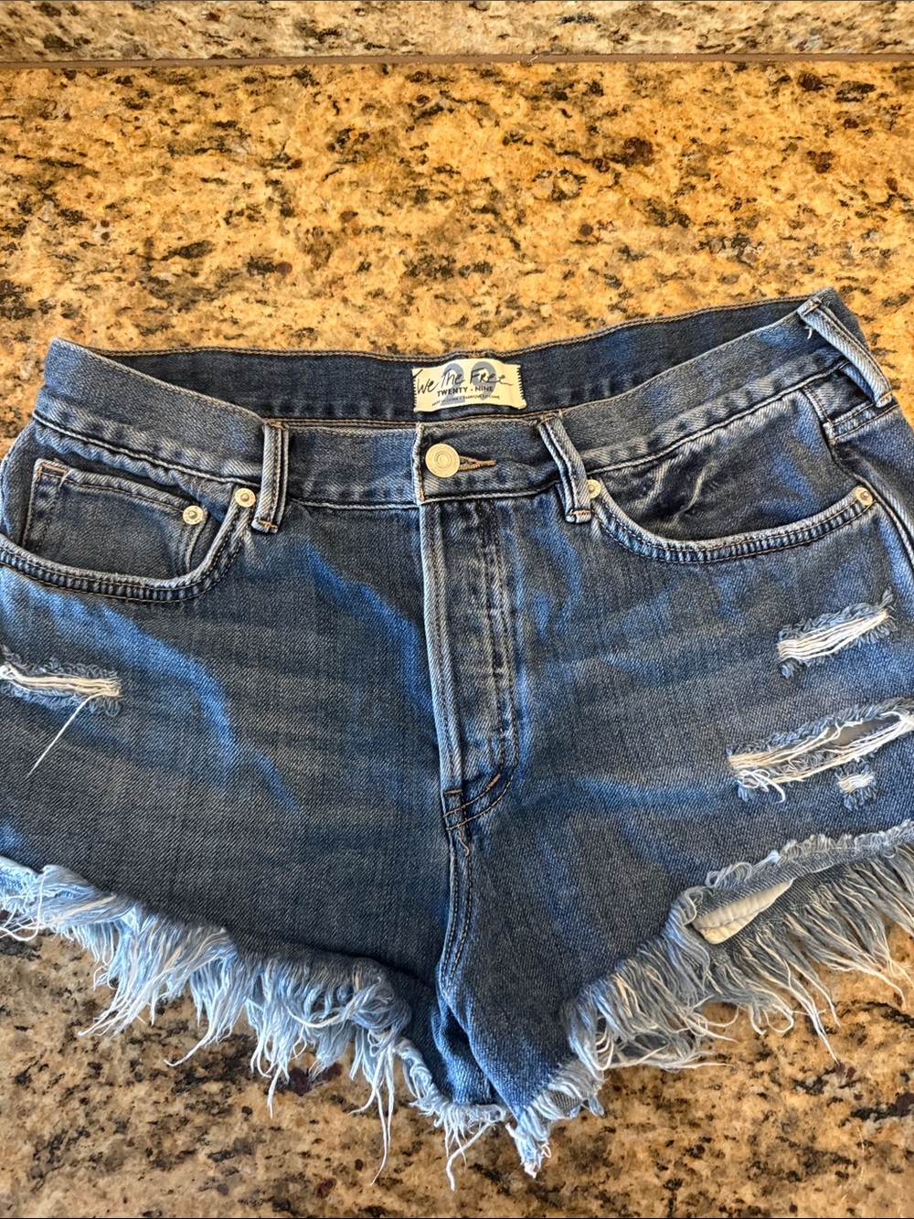 Free People Frayed Denim Shorts